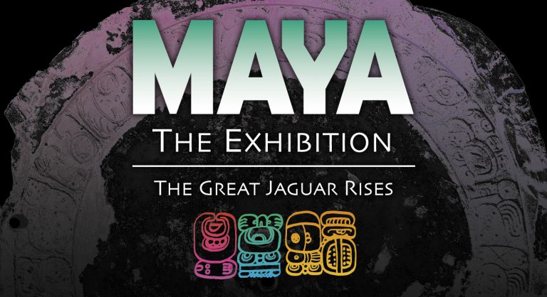 Maya Web - Drop Down