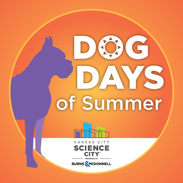Dog Days of Summer in Science City