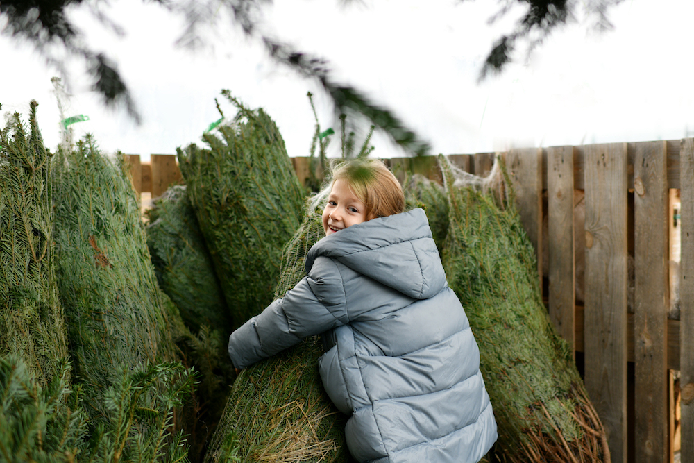 a little girl enjoys holiday events in Kansas City, picking out a Christmas tree